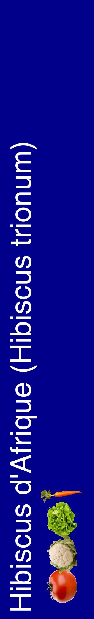 Étiquette de : Hibiscus trionum - format c - style blanche7_basique_basiquehel avec comestibilité simplifiée - position verticale