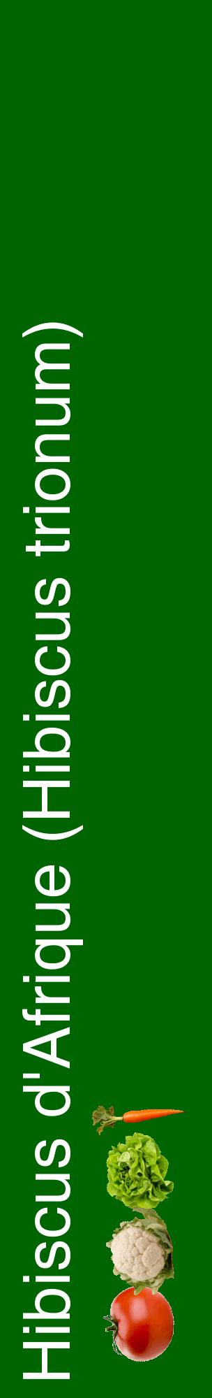 Étiquette de : Hibiscus trionum - format c - style blanche8_basiquehel avec comestibilité simplifiée