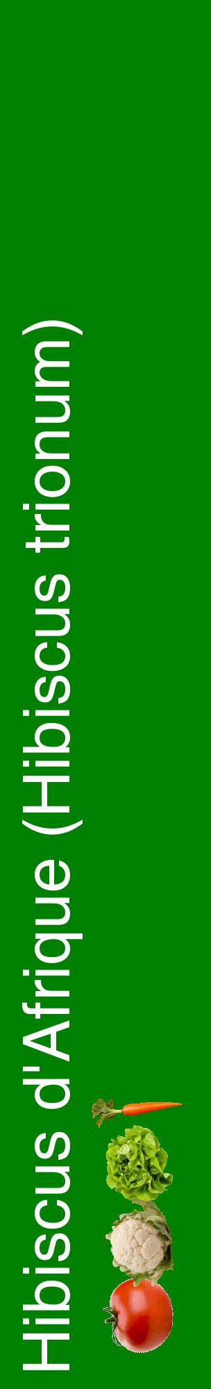Étiquette de : Hibiscus trionum - format c - style blanche9_basiquehel avec comestibilité simplifiée