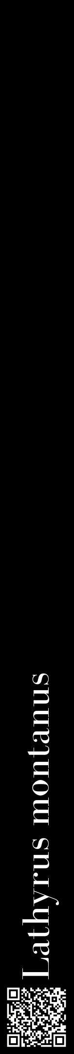 Étiquette de : Lathyrus montanus - format a - style blanche59bod avec qrcode et comestibilité