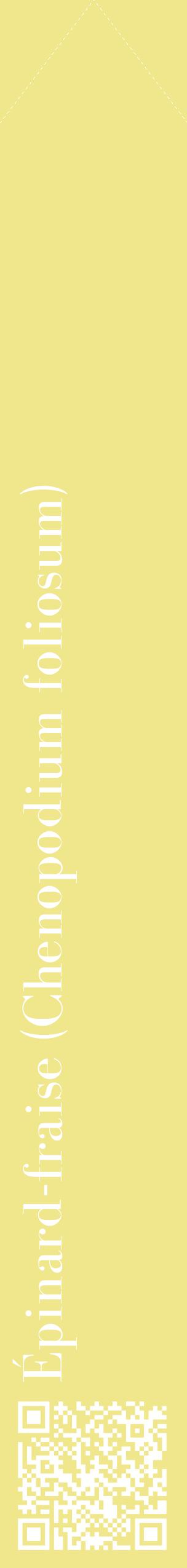 Étiquette de : Chenopodium foliosum - format c - style blanche20_simplebod avec qrcode et comestibilité