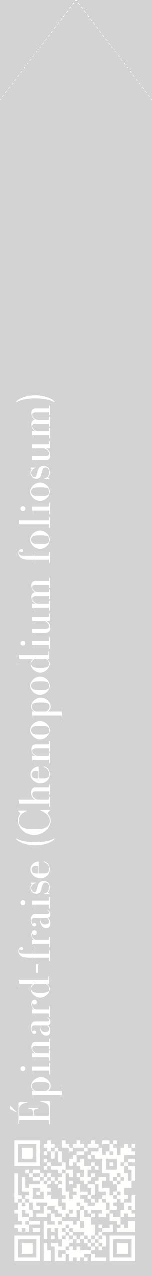 Étiquette de : Chenopodium foliosum - format c - style blanche56_simplebod avec qrcode et comestibilité