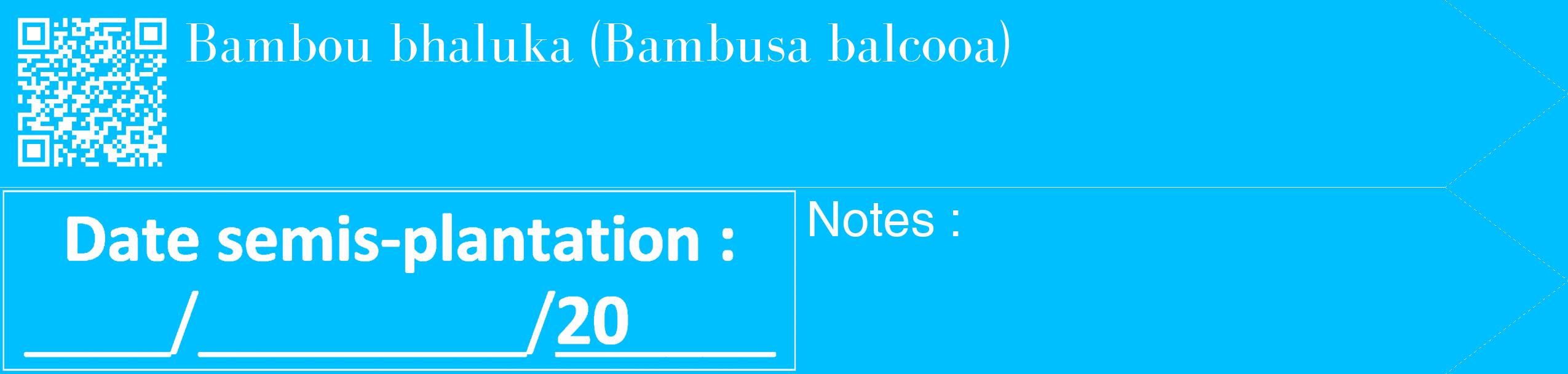 Étiquette de : Bambusa balcooa - format c - style blanche2_simple_simplebod avec qrcode et comestibilité