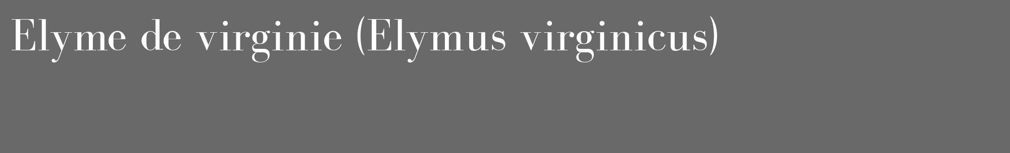 Étiquette de : Elymus virginicus - format c - style blanche51_basique_basiquebod avec comestibilité