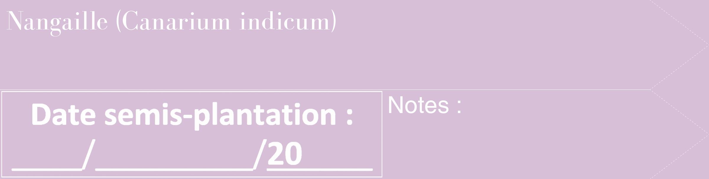 Étiquette de : Canarium indicum - format c - style blanche54_simple_simplebod avec comestibilité