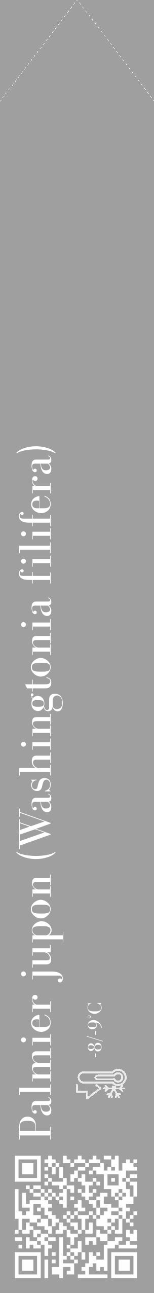 Étiquette de : Washingtonia filifera - format c - style blanche24_simple_simplebod avec qrcode et comestibilité - position verticale