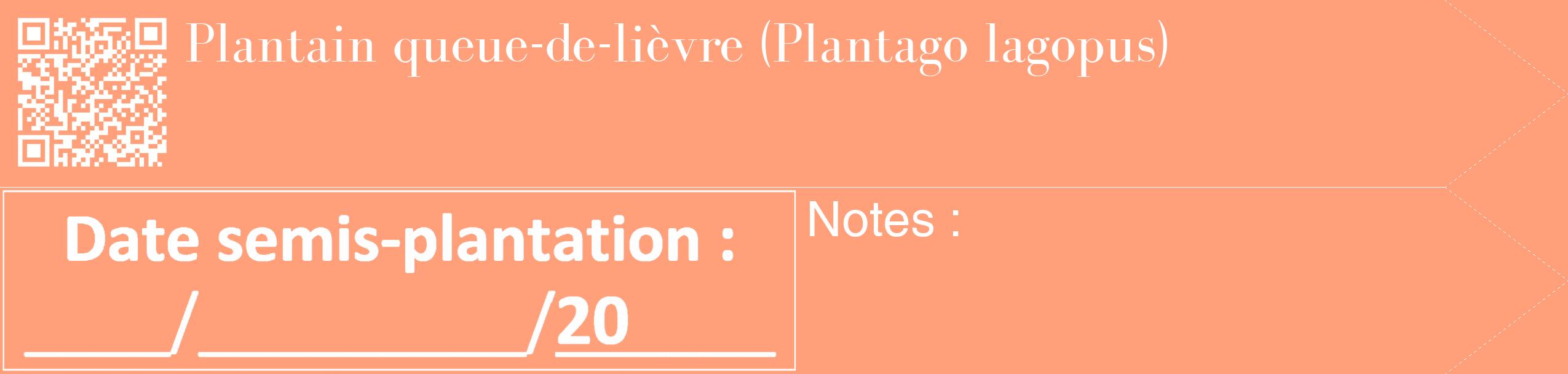 Étiquette de : Plantago lagopus - format c - style blanche39_simple_simplebod avec qrcode et comestibilité