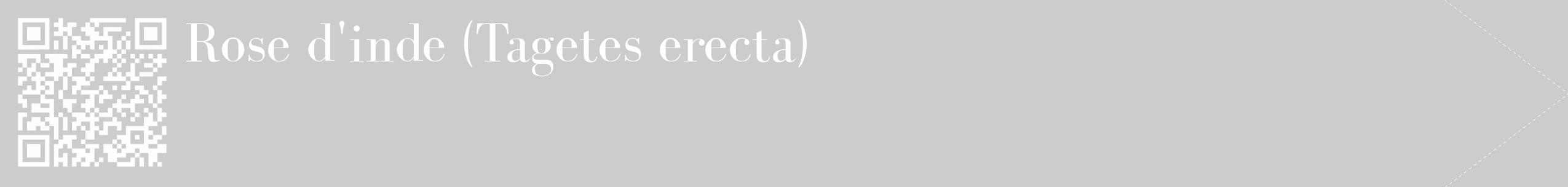 Étiquette de : Tagetes erecta - format c - style blanche0_simple_simplebod avec qrcode et comestibilité