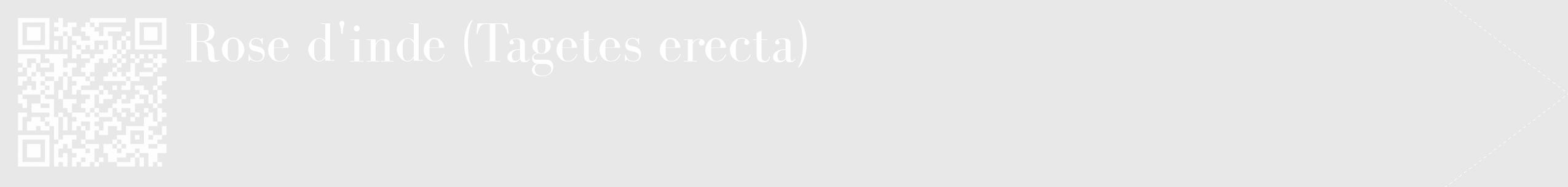 Étiquette de : Tagetes erecta - format c - style blanche55_simple_simplebod avec qrcode et comestibilité