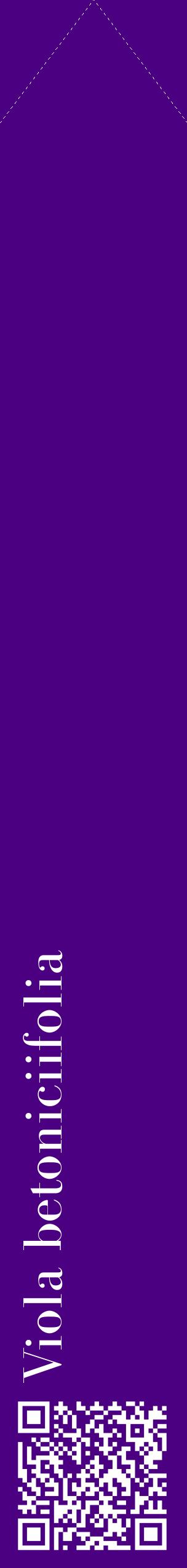 Étiquette de : Viola betoniciifolia - format c - style blanche47_simplebod avec qrcode et comestibilité