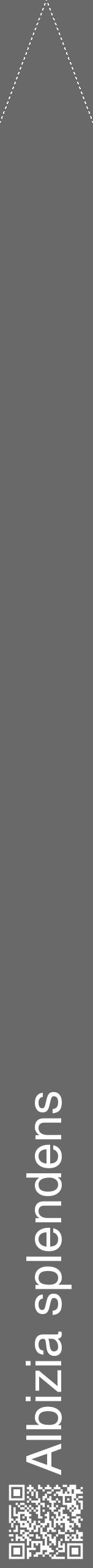 Étiquette de : Albizia splendens - format b - style blanche51hel avec qrcode et comestibilité - position verticale