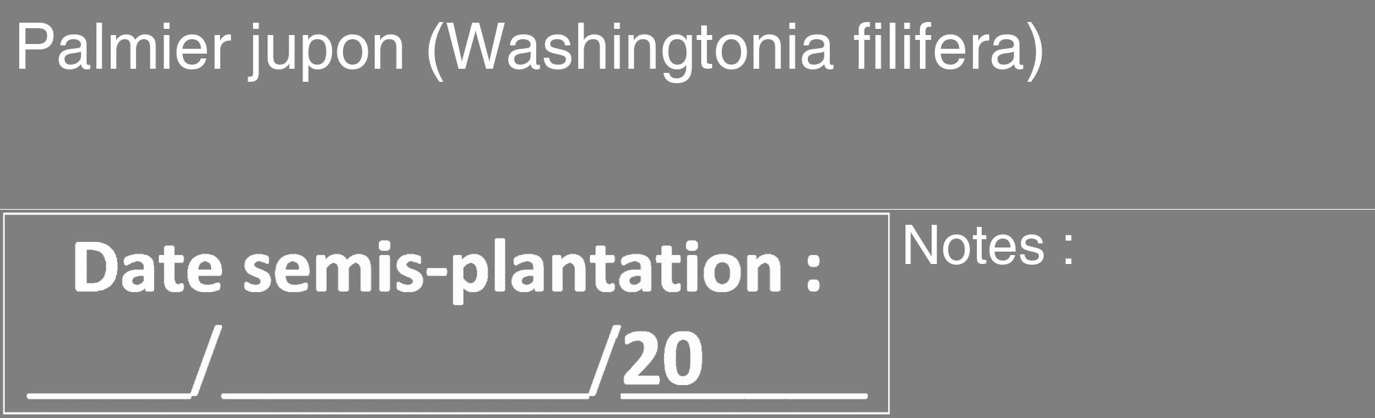 Étiquette de : Washingtonia filifera - format c - style blanche31_basique_basiquehel avec comestibilité