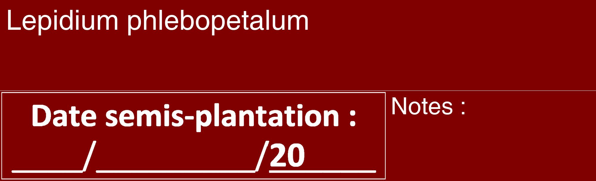 Étiquette de : Lepidium phlebopetalum - format c - style blanche29_basique_basiquehel avec comestibilité