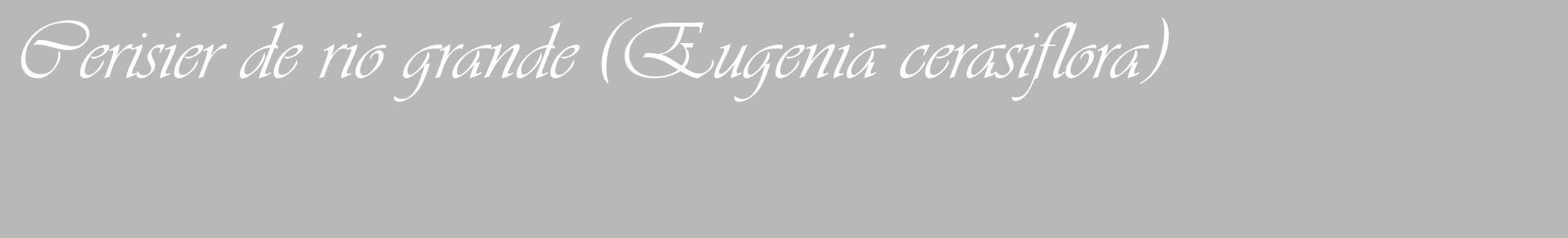 Étiquette de : Eugenia cerasiflora - format c - style blanche39_basique_basiqueviv avec comestibilité