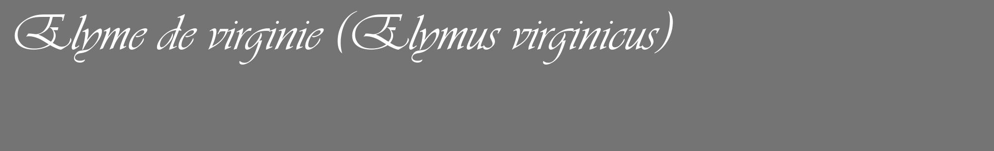 Étiquette de : Elymus virginicus - format c - style blanche26_basique_basiqueviv avec comestibilité