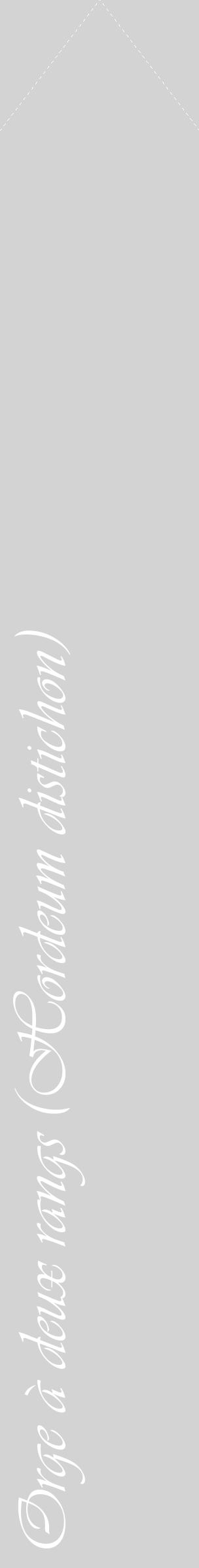 Étiquette de : Hordeum distichon - format c - style blanche56_simpleviv avec comestibilité