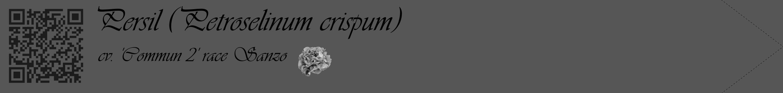 Étiquette de : Petroselinum crispum cv. 'Commun 2' race Sanzo - format c - style noire45_simple_simpleviv avec qrcode et comestibilité simplifiée