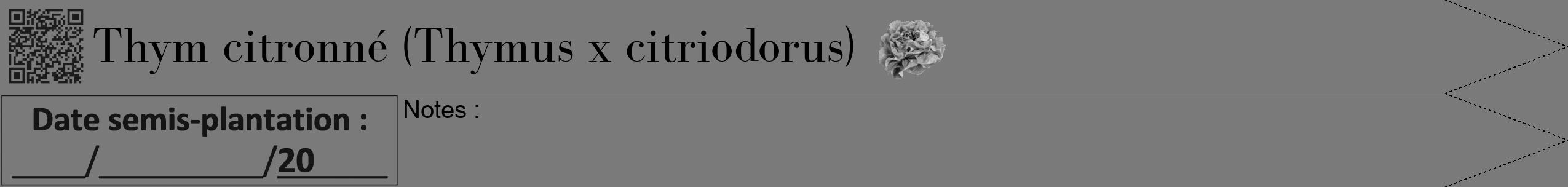 Étiquette de : Thymus x citriodorus - format b - style noire3bod avec qrcode et comestibilité simplifiée