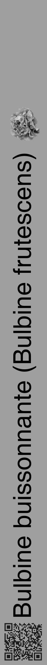 Étiquette de : Bulbine frutescens - format a - style noire24hel avec qrcode et comestibilité simplifiée - position verticale