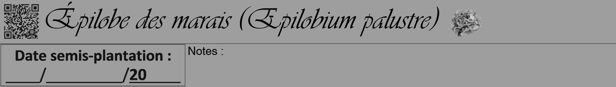 Étiquette de : Epilobium palustre - format a - style noire23viv avec qrcode et comestibilité simplifiée