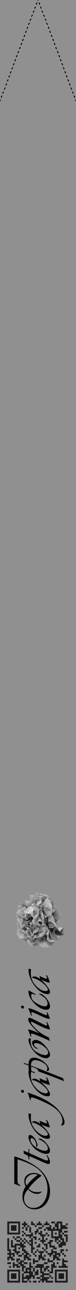 Étiquette de : Itea japonica - format b - style noire4viv avec qrcode et comestibilité simplifiée - position verticale