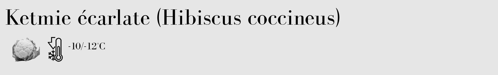 Étiquette de : Hibiscus coccineus - format c - style noire18_basique_basiquebod avec comestibilité simplifiée