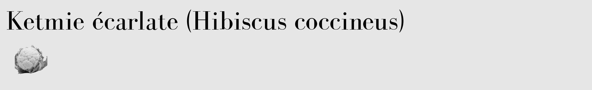 Étiquette de : Hibiscus coccineus - format c - style noire18_basique_basiquebod avec comestibilité simplifiée
