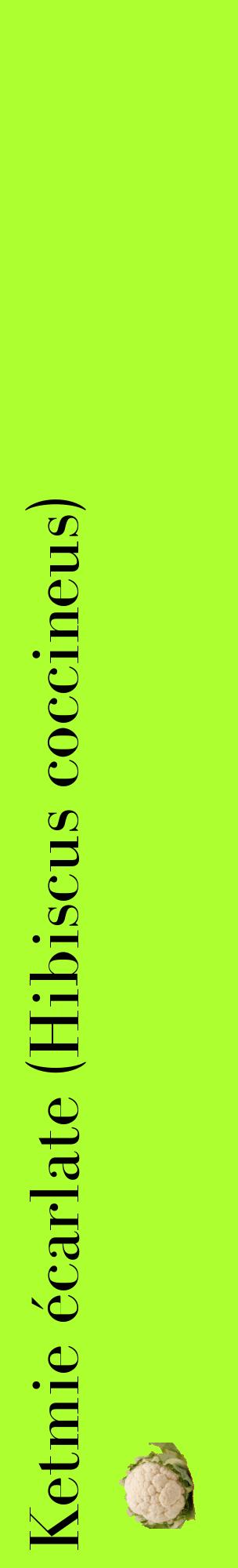 Étiquette de : Hibiscus coccineus - format c - style noire17_basiquebod avec comestibilité simplifiée