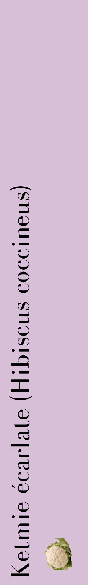 Étiquette de : Hibiscus coccineus - format c - style noire54_basiquebod avec comestibilité simplifiée