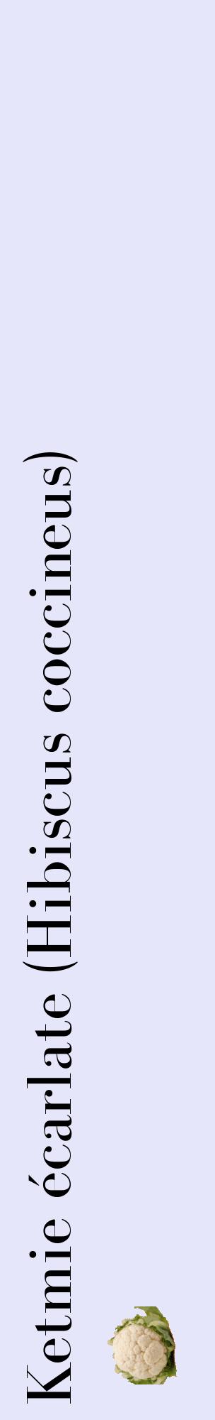 Étiquette de : Hibiscus coccineus - format c - style noire55_basiquebod avec comestibilité simplifiée