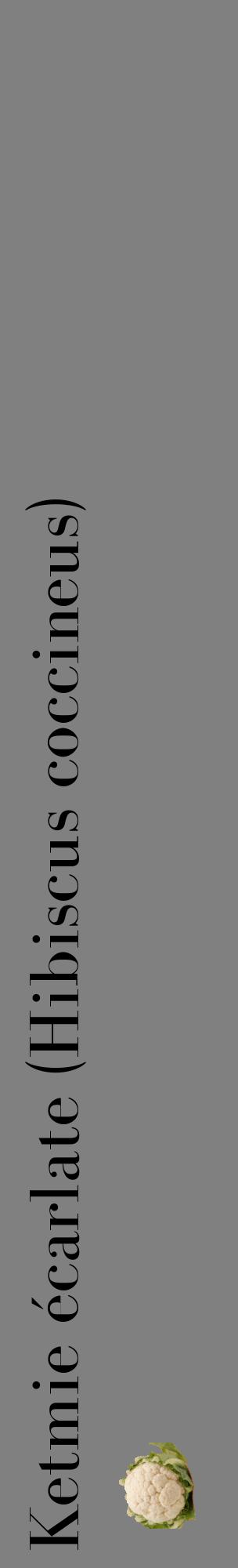 Étiquette de : Hibiscus coccineus - format c - style noire57_basiquebod avec comestibilité simplifiée
