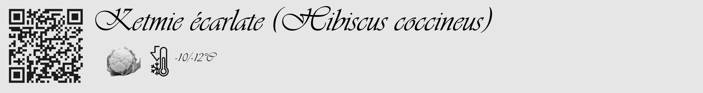 Étiquette de : Hibiscus coccineus - format c - style noire18_basique_basiqueviv avec qrcode et comestibilité simplifiée