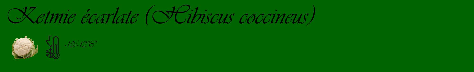 Étiquette de : Hibiscus coccineus - format c - style noire8_basique_basiqueviv avec comestibilité simplifiée
