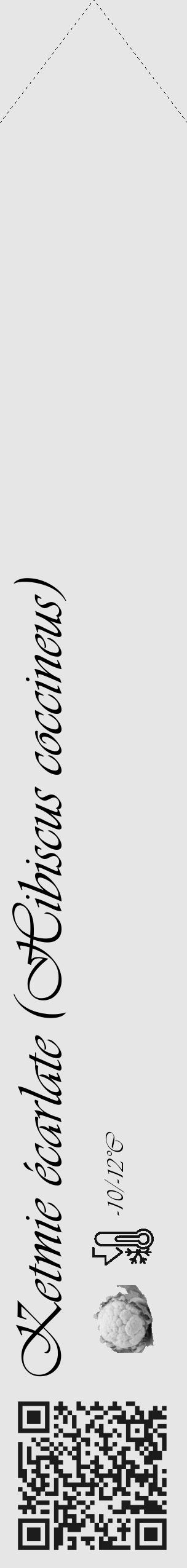 Étiquette de : Hibiscus coccineus - format c - style noire18_simple_simpleviv avec qrcode et comestibilité simplifiée - position verticale