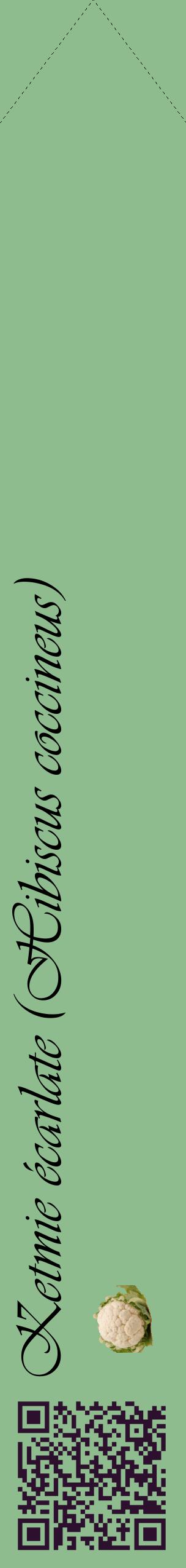 Étiquette de : Hibiscus coccineus - format c - style noire13_simpleviv avec qrcode et comestibilité simplifiée