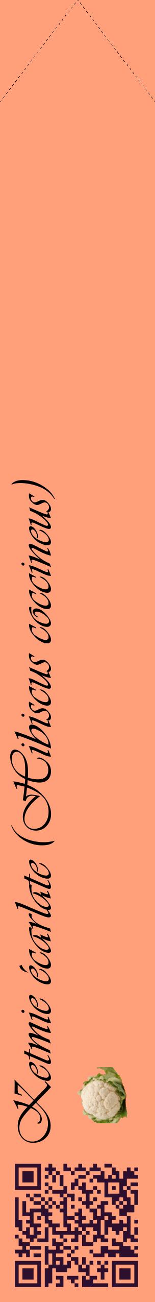 Étiquette de : Hibiscus coccineus - format c - style noire39_simpleviv avec qrcode et comestibilité simplifiée