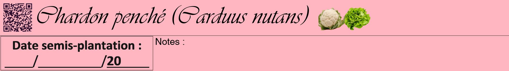 Étiquette de : Carduus nutans - format a - style noire41viv avec qrcode et comestibilité simplifiée