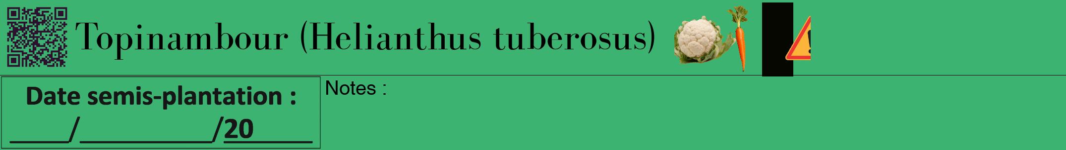 Étiquette de : Helianthus tuberosus - format a - style noire12bod avec qrcode et comestibilité simplifiée