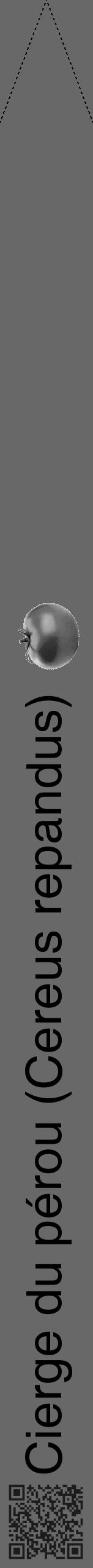 Étiquette de : Cereus repandus - format b - style noire43hel avec qrcode et comestibilité simplifiée - position verticale