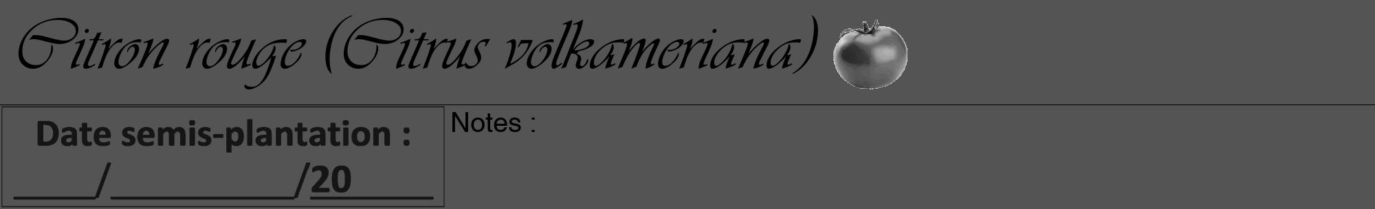 Étiquette de : Citrus volkameriana - format a - style noire30viv avec comestibilité simplifiée