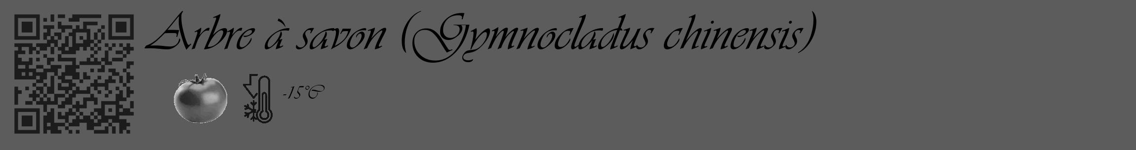 Étiquette de : Gymnocladus chinensis - format c - style noire49_basique_basiqueviv avec qrcode et comestibilité simplifiée