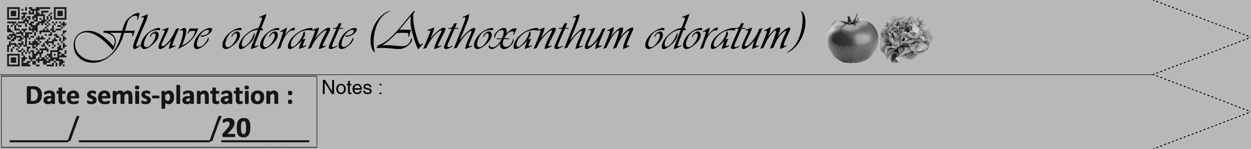 Étiquette de : Anthoxanthum odoratum - format b - style noire39viv avec qrcode et comestibilité simplifiée
