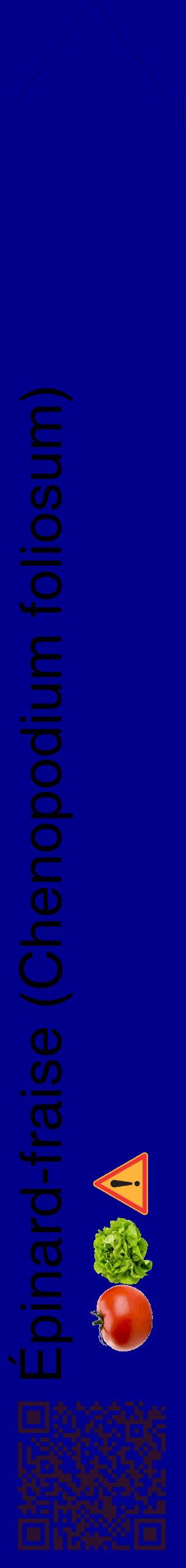 Étiquette de : Chenopodium foliosum - format c - style noire7_simplehel avec qrcode et comestibilité simplifiée