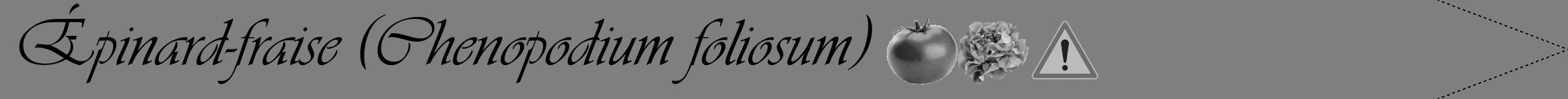 Étiquette de : Chenopodium foliosum - format b - style noire57viv avec comestibilité simplifiée