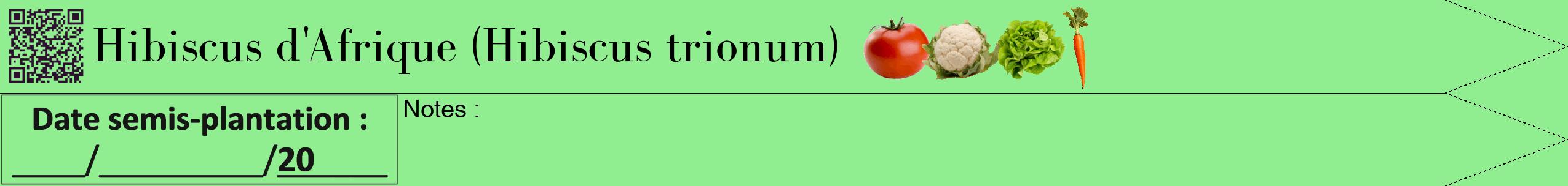Étiquette de : Hibiscus trionum - format b - style noire15bod avec qrcode et comestibilité simplifiée