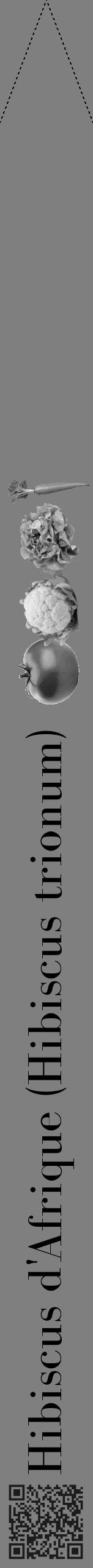 Étiquette de : Hibiscus trionum - format b - style noire31bod avec qrcode et comestibilité simplifiée - position verticale