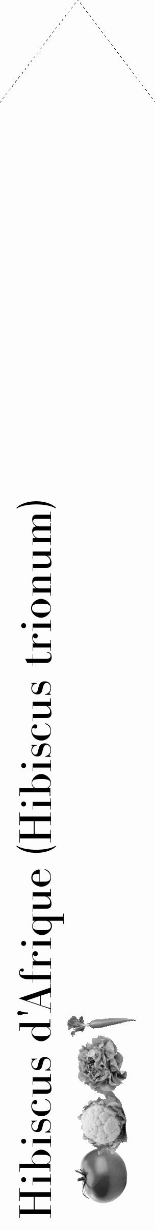 Étiquette de : Hibiscus trionum - format c - style noire19_simple_simplebod avec comestibilité simplifiée - position verticale