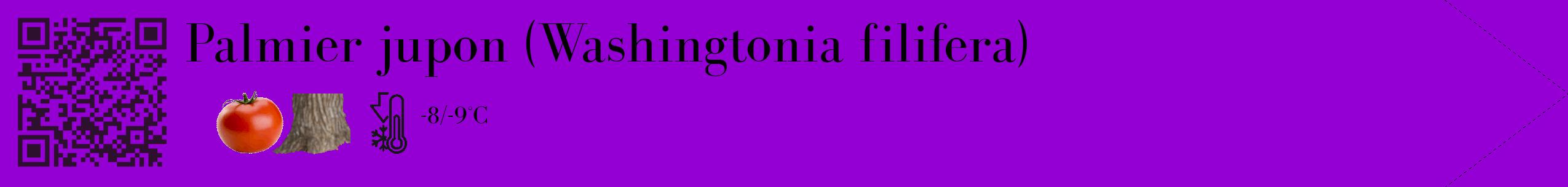 Étiquette de : Washingtonia filifera - format c - style noire48_simple_simplebod avec qrcode et comestibilité simplifiée