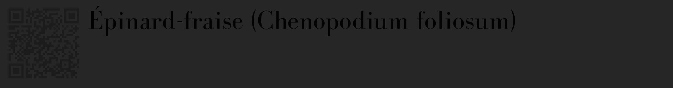 Étiquette de : Chenopodium foliosum - format c - style noire29_basique_basiquebod avec qrcode et comestibilité