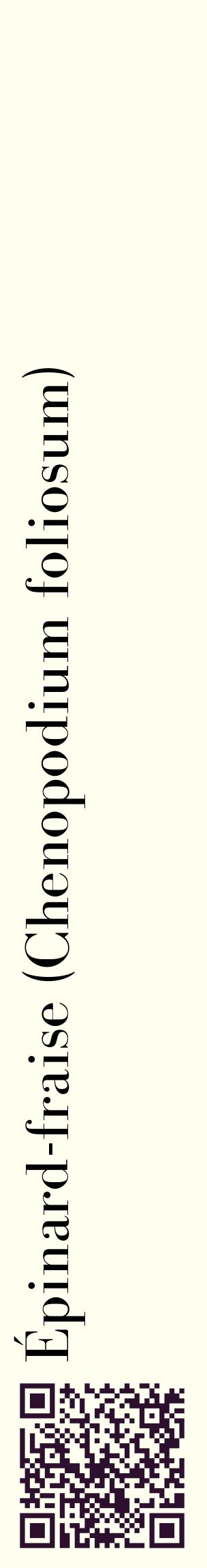 Étiquette de : Chenopodium foliosum - format c - style noire19_basiquebod avec qrcode et comestibilité